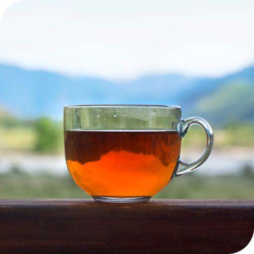 Black Tea - ZYANNA® India - zyanna.com