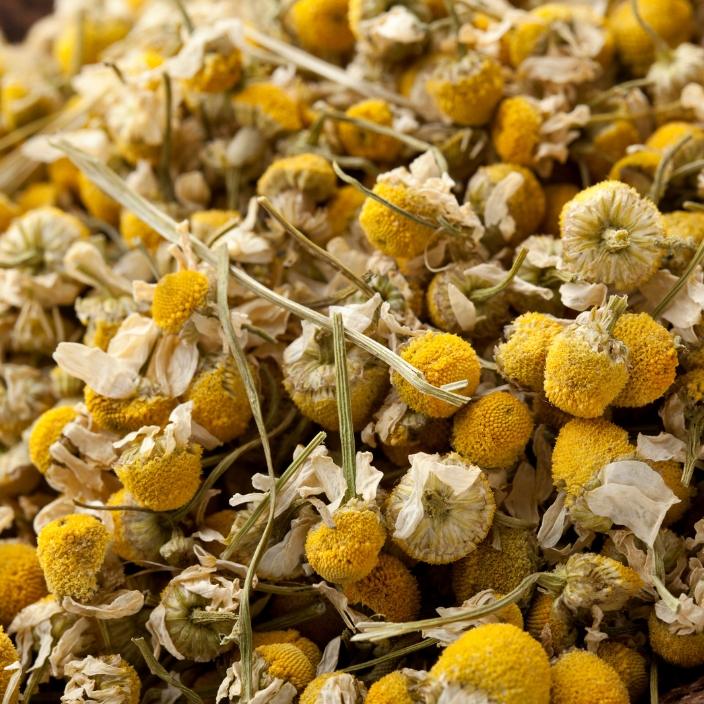 Chamomile Buds Tea - ZYANNA® India - zyanna.com