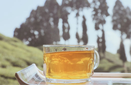 Exploring Darjeeling's Finest: Quick Facts About First Flush Tea