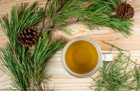 The Antioxidant Power of White Tea