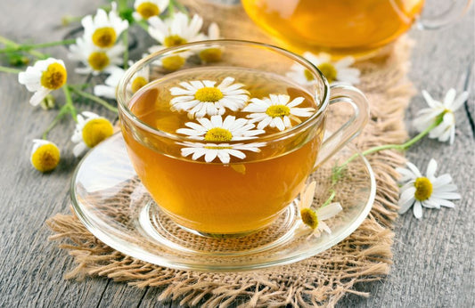 A Healing Cup of Chamomile: Unveiling the Wonders of Nature's Soothing Brew - ZYANNA® India - zyanna.com