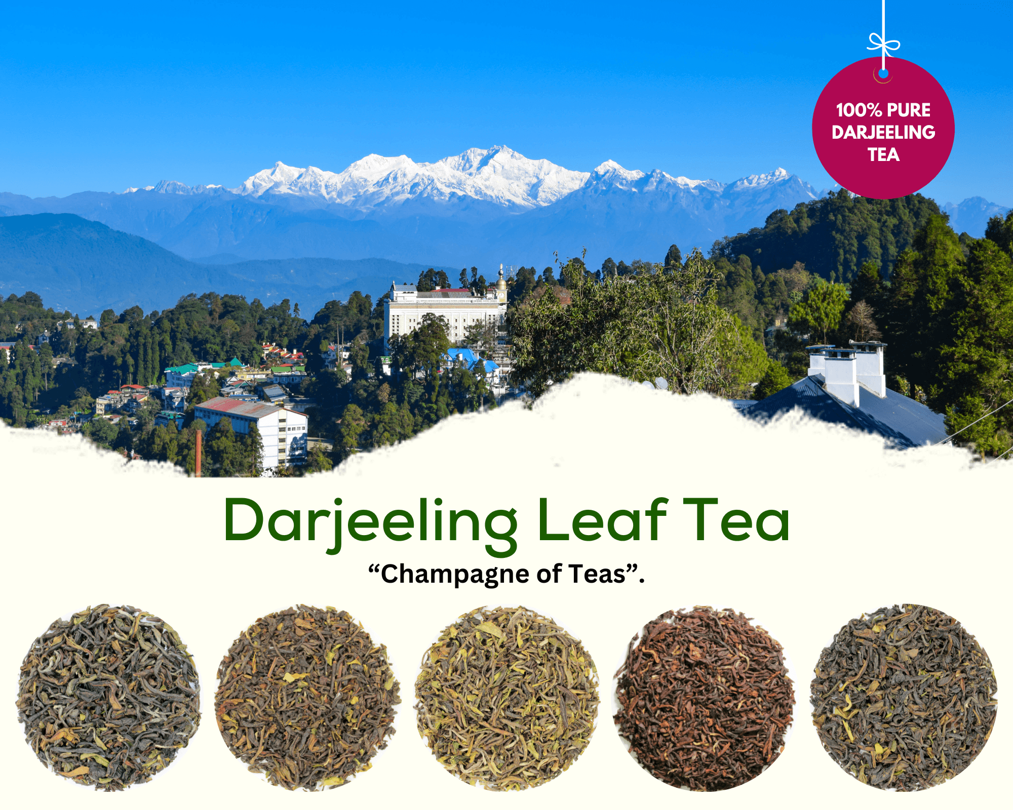 Find out what Darjeeling Tea is all about – ZYANNA India