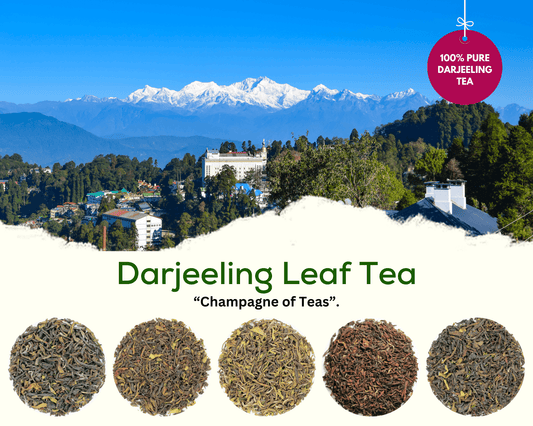 Find out what Darjeeling Tea is all about - ZYANNA® India - zyanna.com