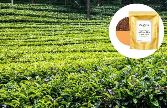 From Gardens to Cups: Understanding the Uniqueness of Assam Tea - ZYANNA® India - zyanna.com