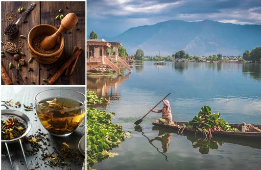 On Kashmiri Roots and Teas: A Journey of Flavor and Tradition - ZYANNA® India - zyanna.com