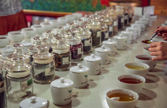 Unlocking the Mysteries: The Secrets of Tea-Tasting - ZYANNA® India - zyanna.com