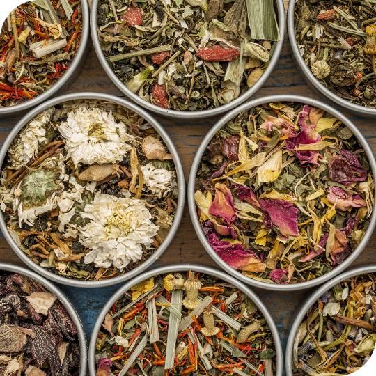 Herbal Tea - ZYANNA® India - zyanna.com