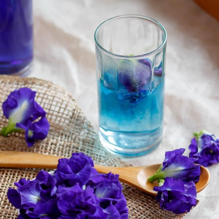 Blue Tea - Butterfly Pea Flower - ZYANNA® India - zyanna.com