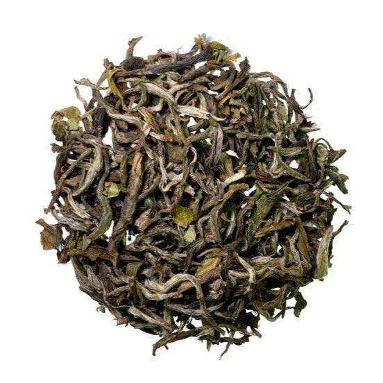 Darjeeling White Tea Emerald - ZYANNA® India - zyanna.com
