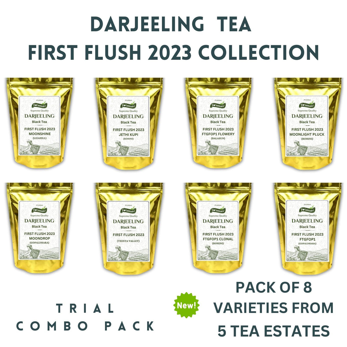 Trial Packs- Darjeeling First Flush 2023 (8 varieties - 5 Tea Estates) - ZYANNA® India - zyanna.com